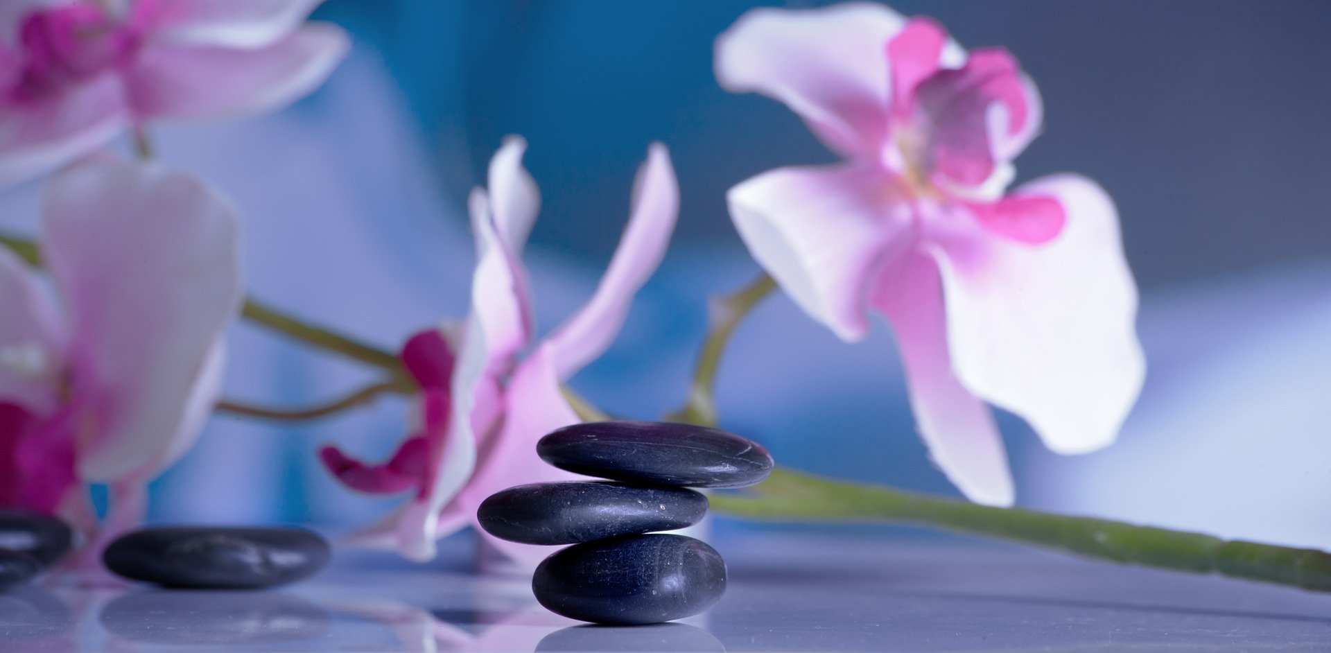 Thai Massage in Petaluma California - Hot Stone Massage is just one type of luxurious massage you can receive at Blue Orchid Massage